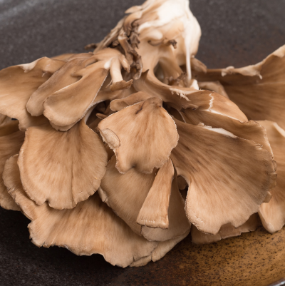 Maitake